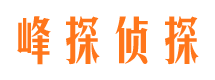 开远找人公司